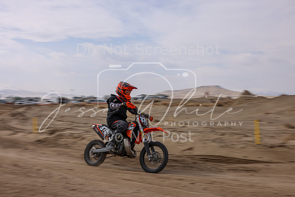 IMG_4365-375y