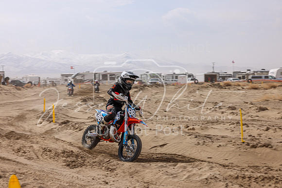 IMG_4487-86y