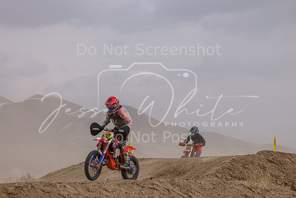 IMG_4593-812j