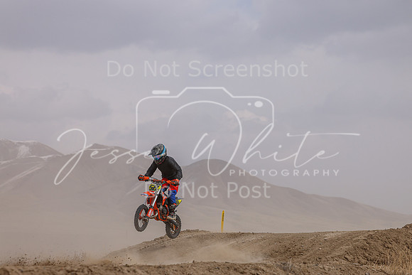 IMG_4595-58y