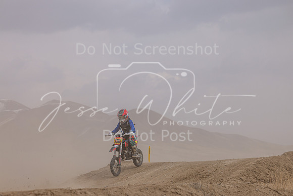 IMG_4606-710y