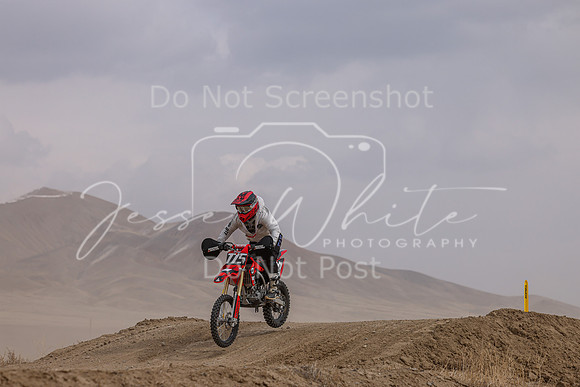 IMG_4699-775v