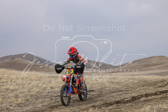 IMG_4815-812j