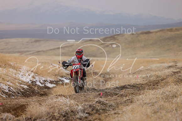 IMG_4960-775v