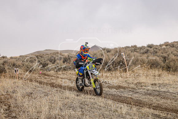 IMG_5287-111y