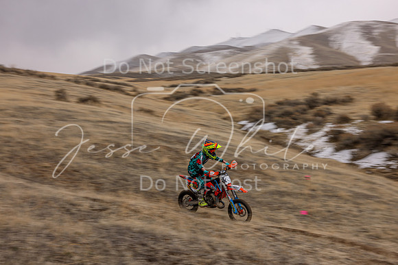 IMG_5386-39y