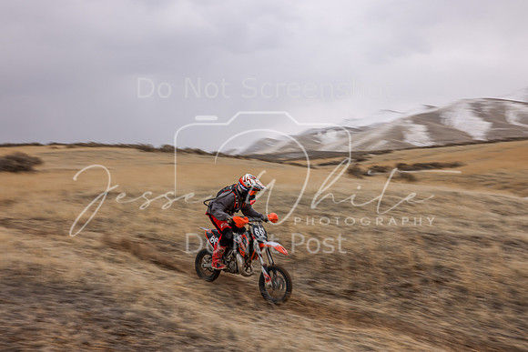 IMG_5447-66y