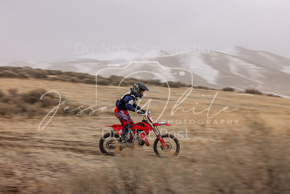 IMG_5592-310j