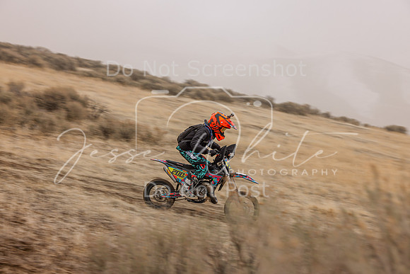 IMG_5665-200y