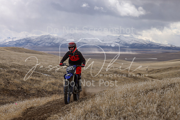 IMG_7047-287n