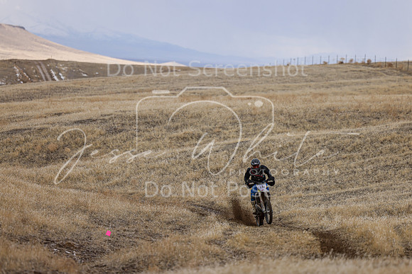 IMG_7442-1n