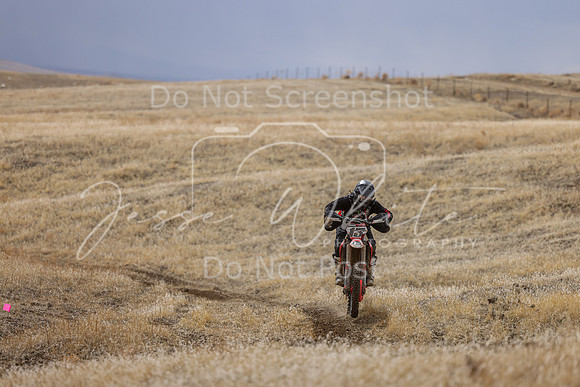 IMG_7503-13p