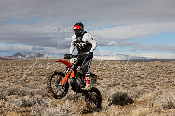 IMG_2237-466p