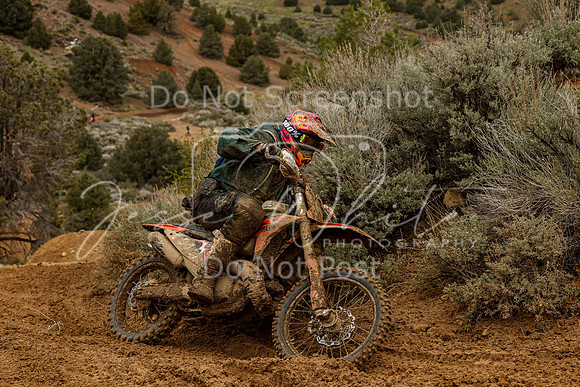 IMG_1013-94