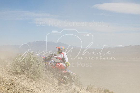 IMG_3093-813l