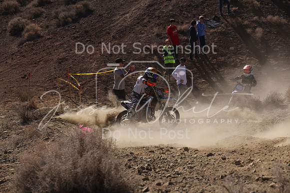 IMG_7611-981y
