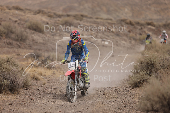 IMG_9110-474j