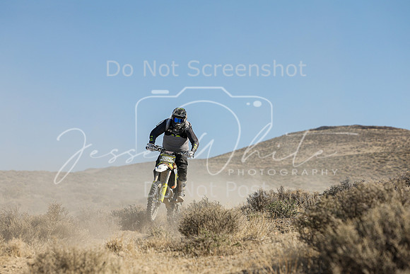 IMG_7364-395p