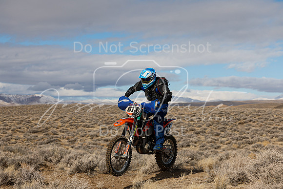IMG_2010-613t