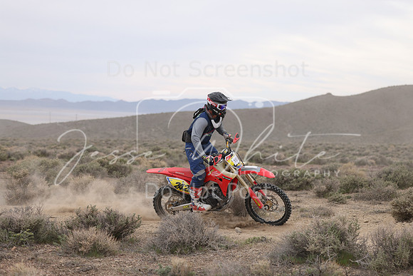 IMG_7911-19b