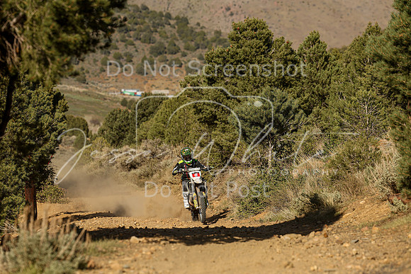 IMG_3573-6