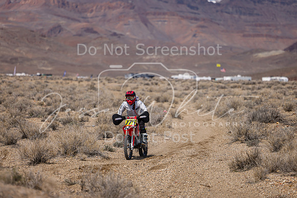 IMG_3489-775v