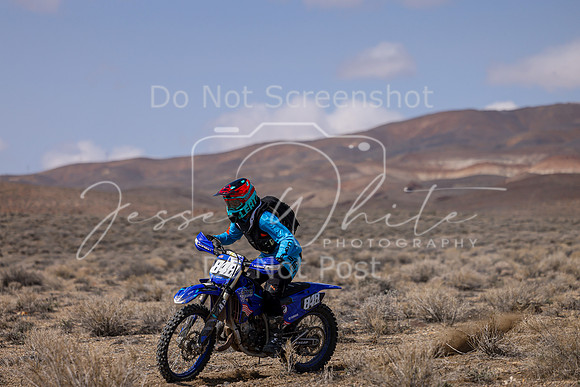 IMG_3580-848v