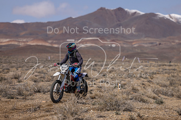 IMG_3590-902v