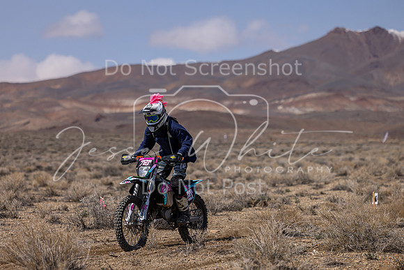 IMG_3593-721v