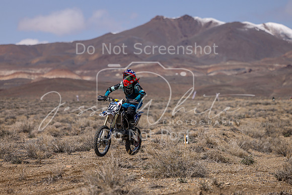 IMG_3597-777v