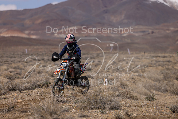 IMG_3653-13v