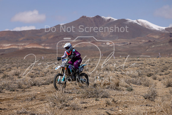 IMG_3650-42v