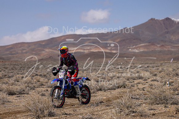IMG_3717-113v