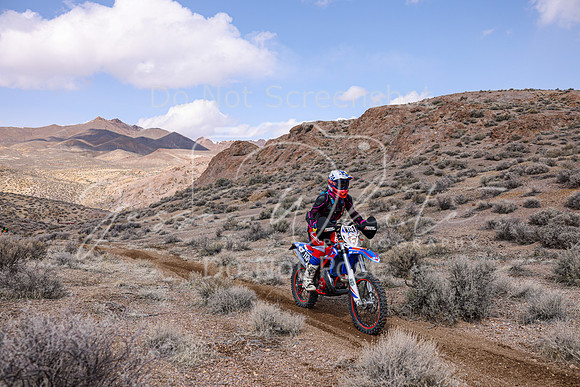 IMG_4149-113v