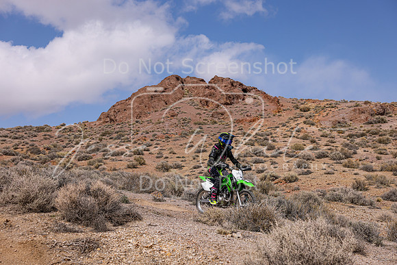 IMG_4172-719v
