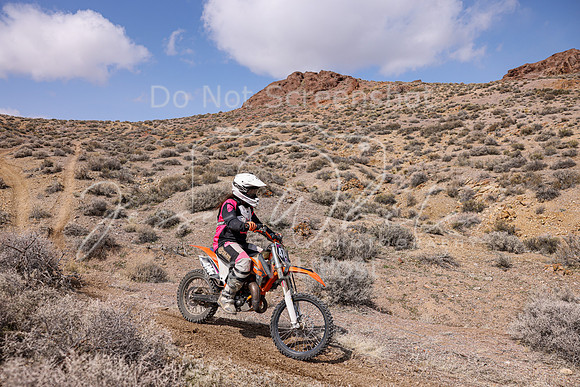 IMG_4220-474v