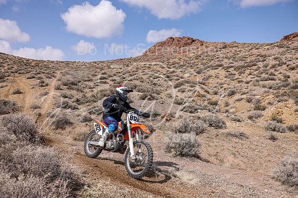 IMG_4264-812v