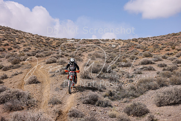 IMG_4289-972v