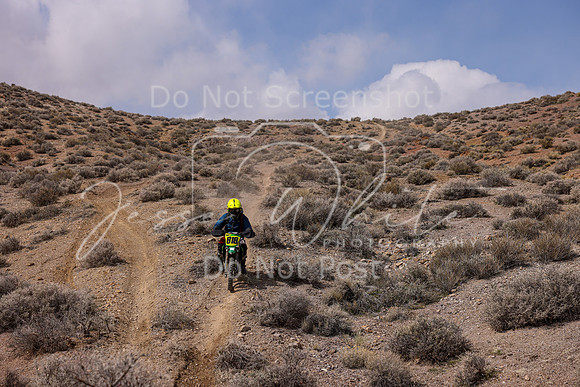 IMG_4351-818j