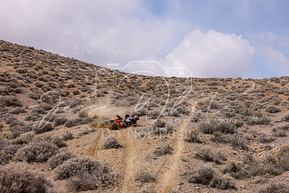 IMG_4393-541j