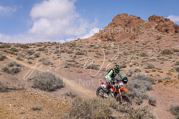 IMG_4469-989v