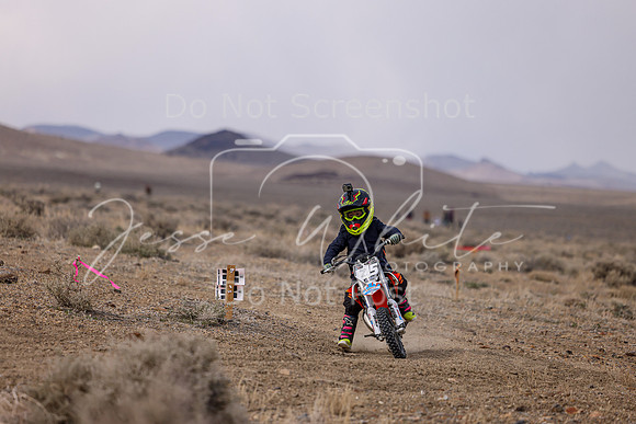 IMG_4517-5z