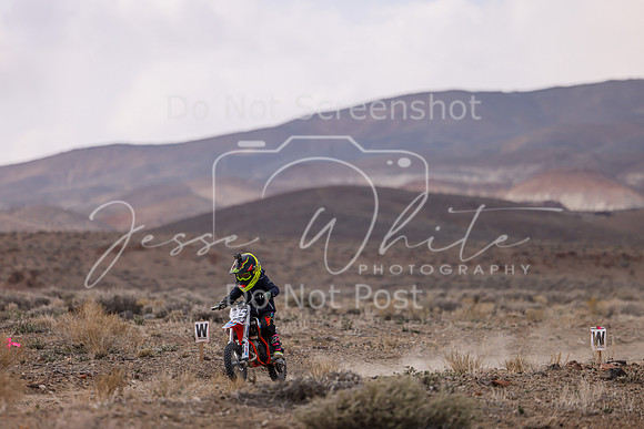 IMG_4556-5z