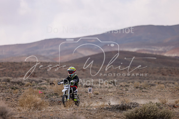 IMG_4561-nt805