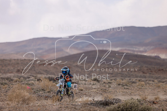 IMG_4562-210z