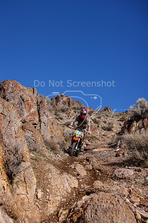 IMG_5520-4b