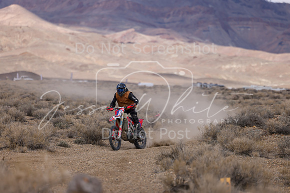 IMG_6537-10aa