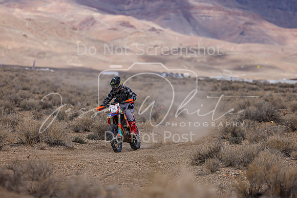 IMG_6577-3a
