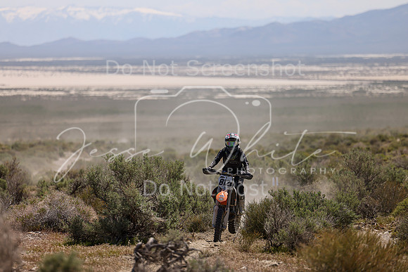 IMG_8820-812v