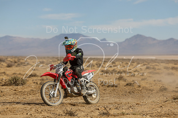 IMG_8137-385y